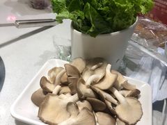 -古乐牛香·鲜牛肉牛杂火锅(吴江三里桥运东商业广场店)