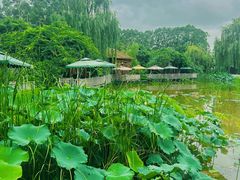 -三圣花乡旅游区