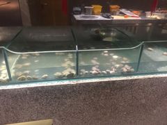 水产区-解放碑威斯汀酒店-知味国际美食餐厅