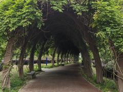 -滨湖塘西河公园