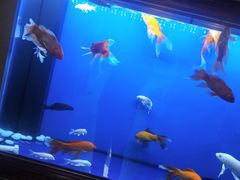 -知足堂养生会所(碑亭巷店)