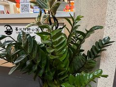 -嘉北郊野公园
