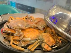 蒸汽海鲜-乔哥铭洋海鲜自助(皇城恒隆广场店)