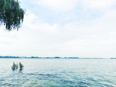 -漕湖湿地公园