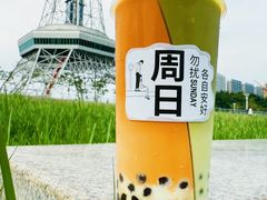 -文华公园(禅城区)