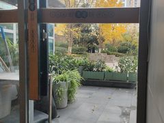 -东哥紫阳蒸盆子(旺座·现代城店)