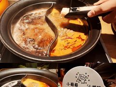 -温野菜涮涮锅(曲江大悦城店)