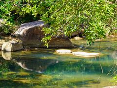 -广州白江湖森林公园