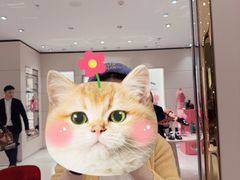 -Roger Vivier(北京SKP店)