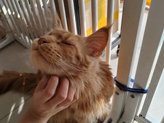 -平行世界·猫咖(首经贸店)