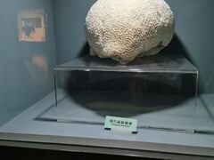 -天津自然博物馆