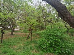 -北陵公园