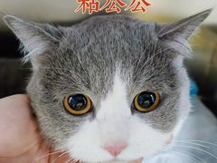 -半岛宠物医院24小时(科华中路店)