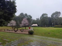 -成都蒲江花样年福朋喜来登度假酒店·宜客乐西餐厅