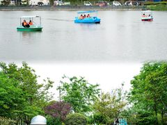 -上海长兴岛郊野公园