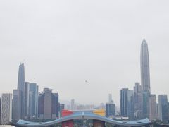 -莲花山公园