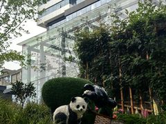 -西安电影制片厂