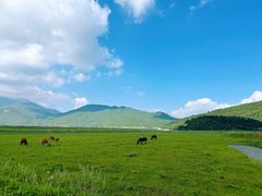 -玉湖村