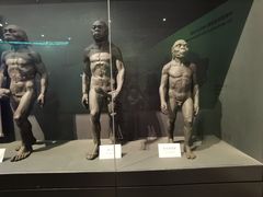 -北京周口店北京人遗址博物馆