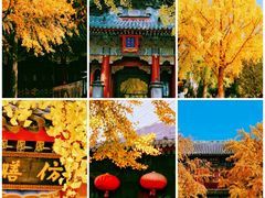 -北海公园