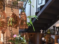 -自由生长植物工作室(深港花卉中心店)