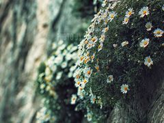 -响堂山石窟-北响堂山石窟