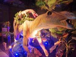 -恐龙探索乐园(磁器口店)