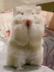 -Oasis Beauty水磨坊科技美肤中心