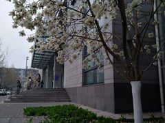 -北京服装学院-食堂