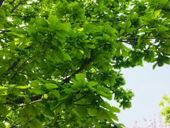 -白塘生态植物园