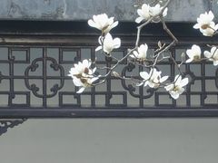 -何园