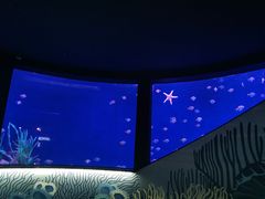 -沈阳海洋探索中心