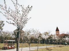 -上海海湾国家森林公园