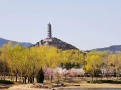 -北坞公园