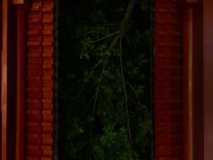 -火燒雲傣家菜(鼓楼店)