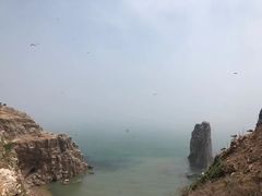 -海驴岛(荣成市)