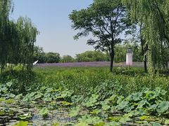 -梁鸿国家湿地公园