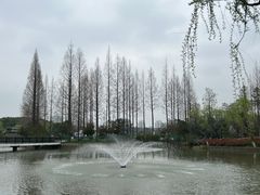 -黄兴公园