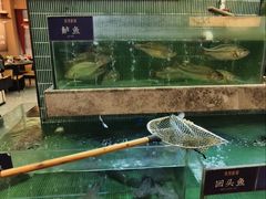 -鱼你相聚·河鲜馆(袁家岭店)