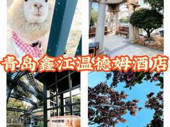 -青岛鑫江温德姆酒店