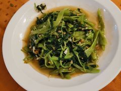 -广宁炭炉鸡煲·富临门饭店