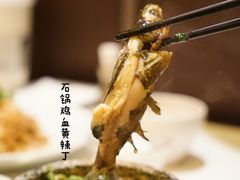 -许家菜(望江店)