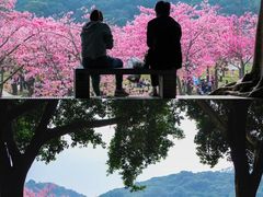 -风云岭森林公园
