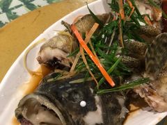-四姑娘川味海鲜(八爪鱼店)