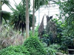 -南山植物园