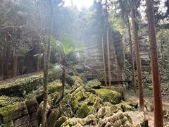 -梭布垭石林景区