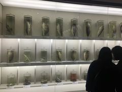 -万佛湖风景区