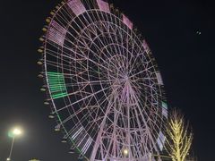 -南昌之星摩天轮