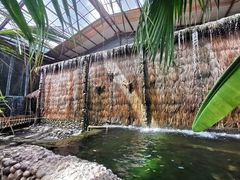 -北京呀路古热带植物园