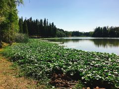 -艾溪湖湿地公园